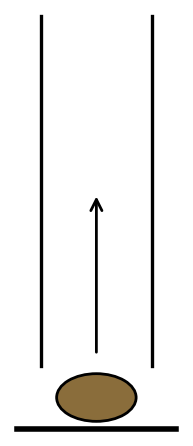 Quả bóng rơi xuống sân rồi nảy lên